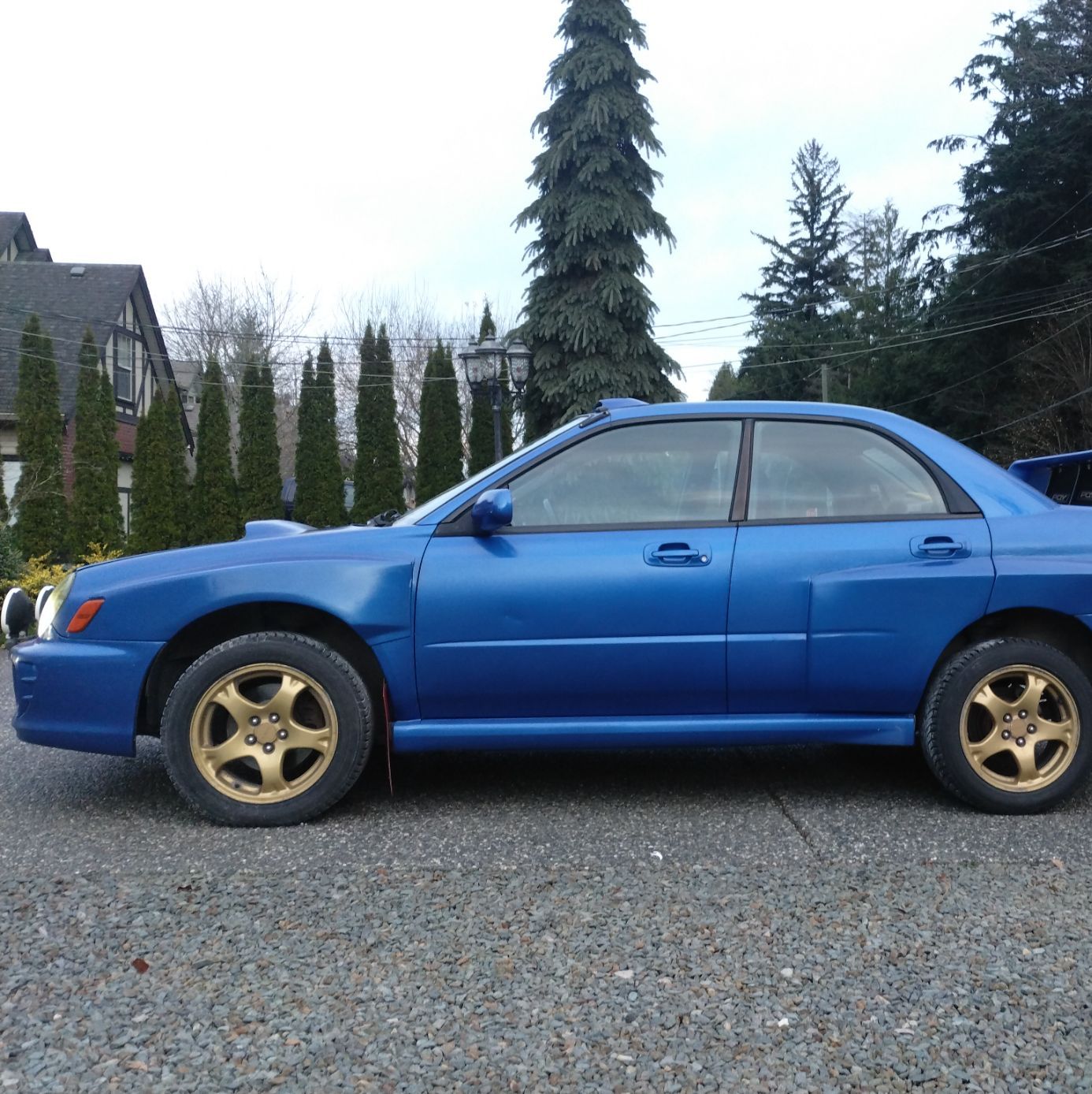 Profile of Randy Doerksen