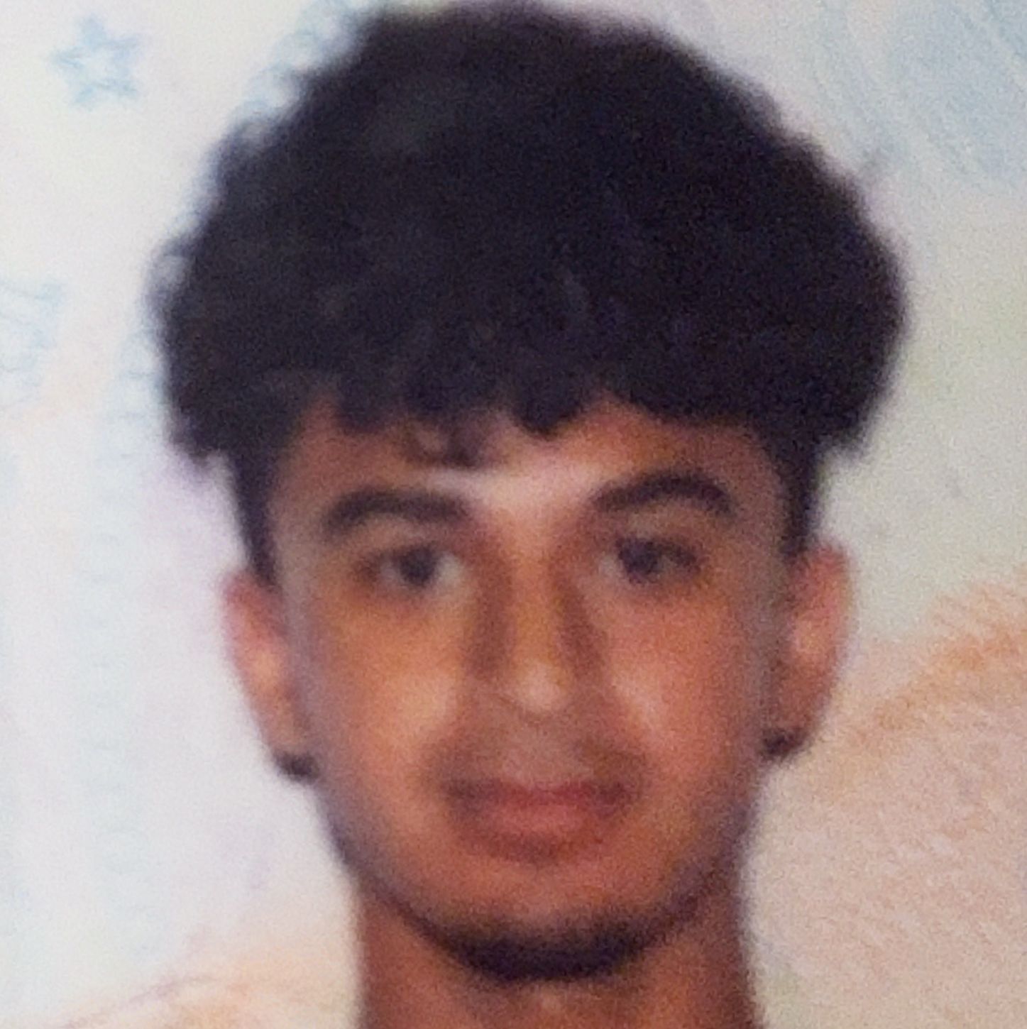 Profile of George Ibrahim