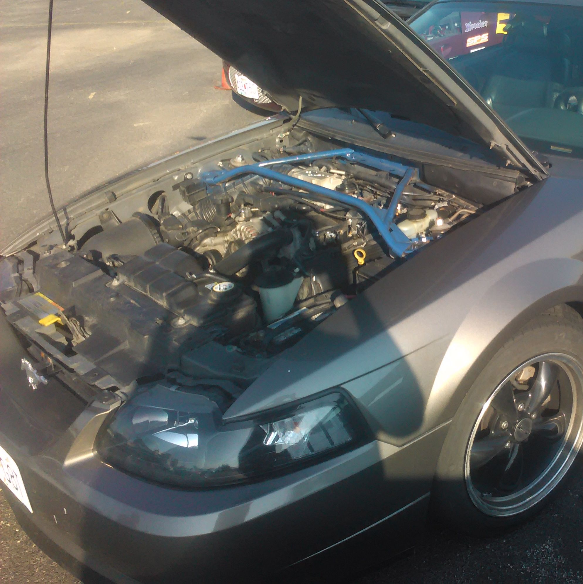 Profile of Dan Rolley