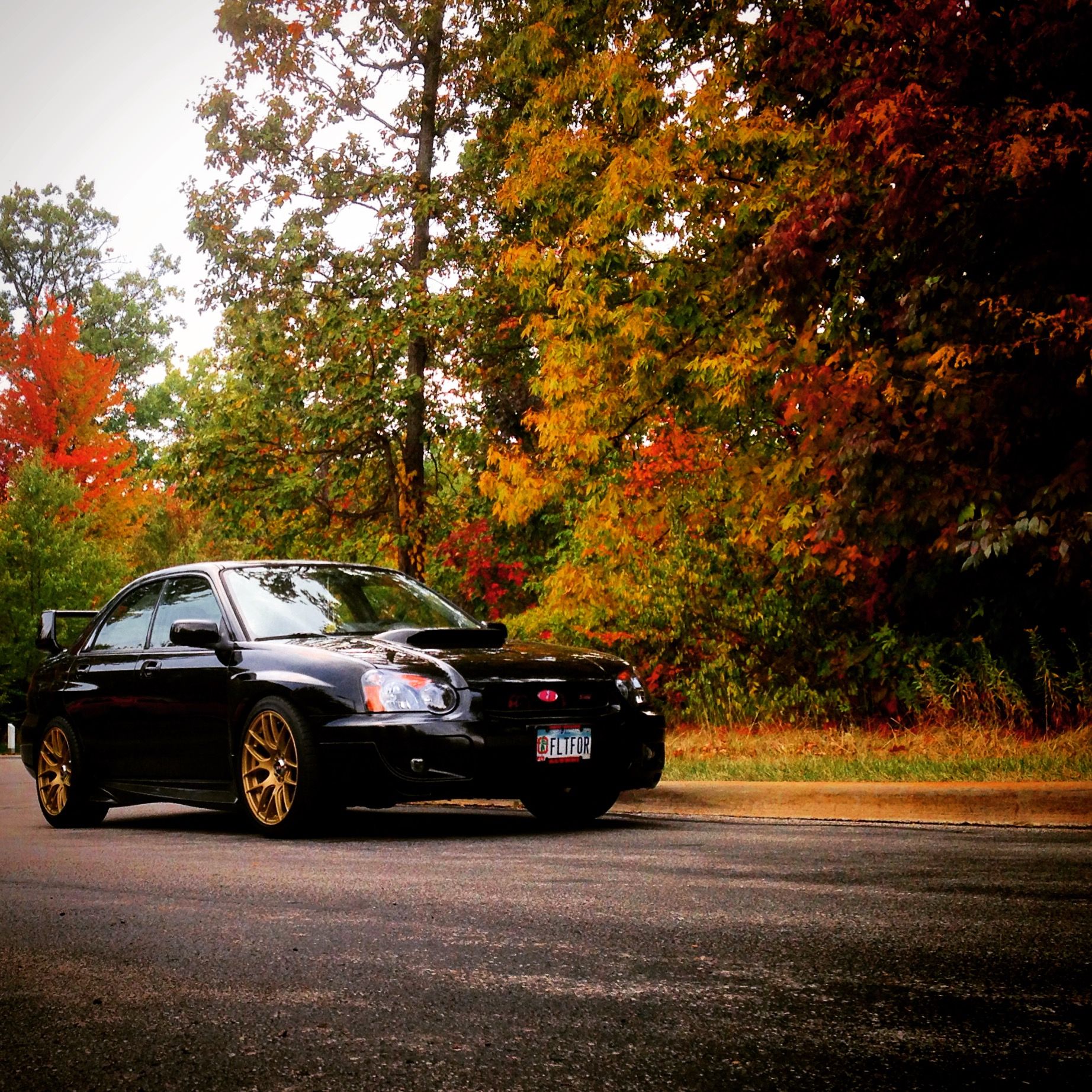 Profile of Orlando Ruiz