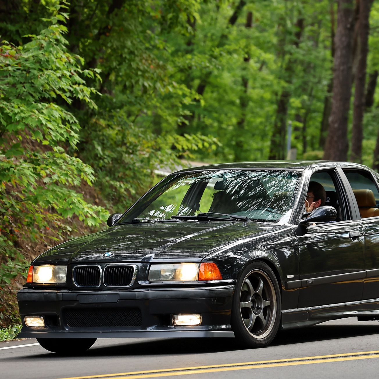 Profile of Dominic Lightfoot