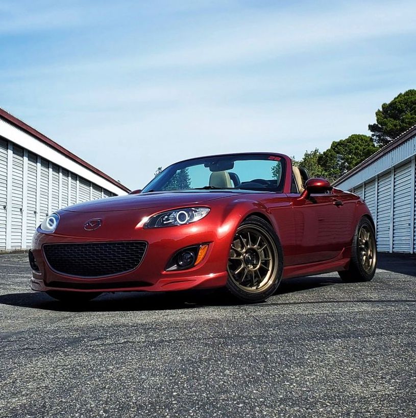 Profile of Andrew Skemp