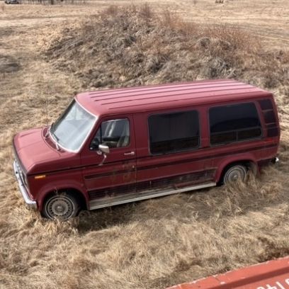 Profile of Lorraine McDonald