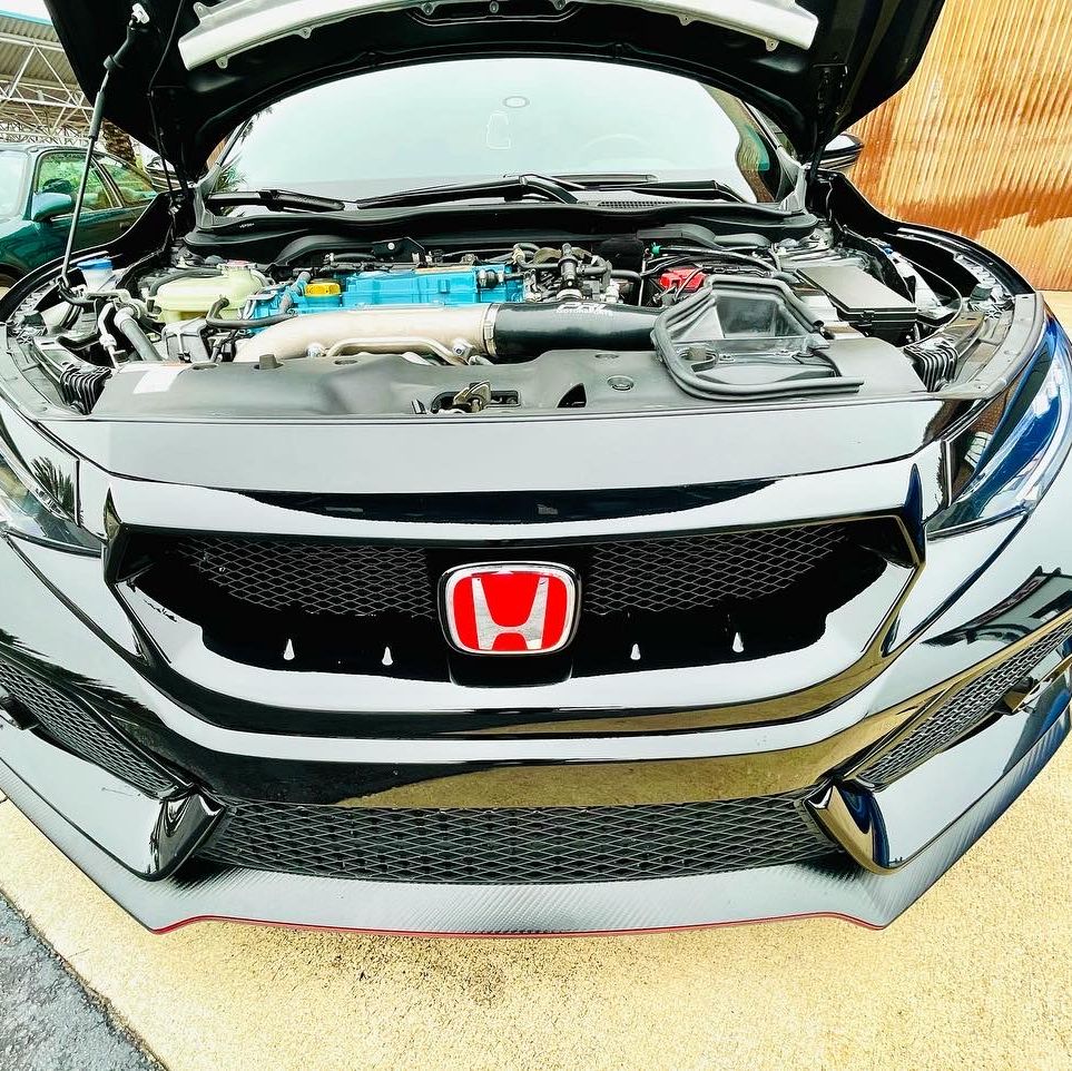 Profile of Elvis Rodriguez