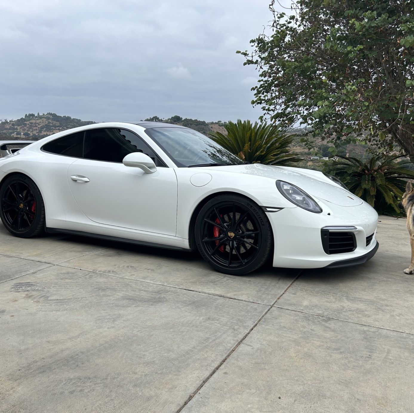 Profile of Don Mancini