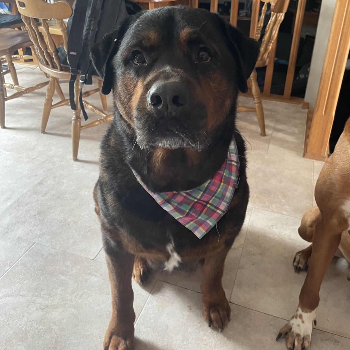 Profile of Bill Purcell