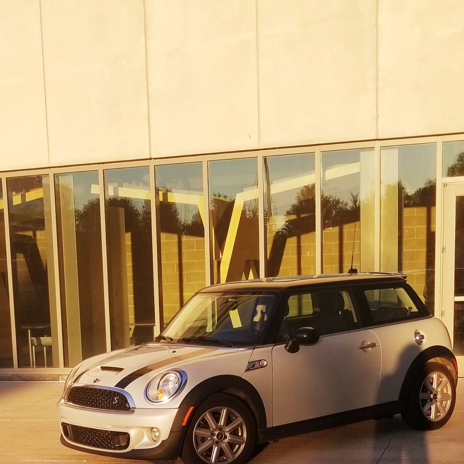 Profile of McKenzie King