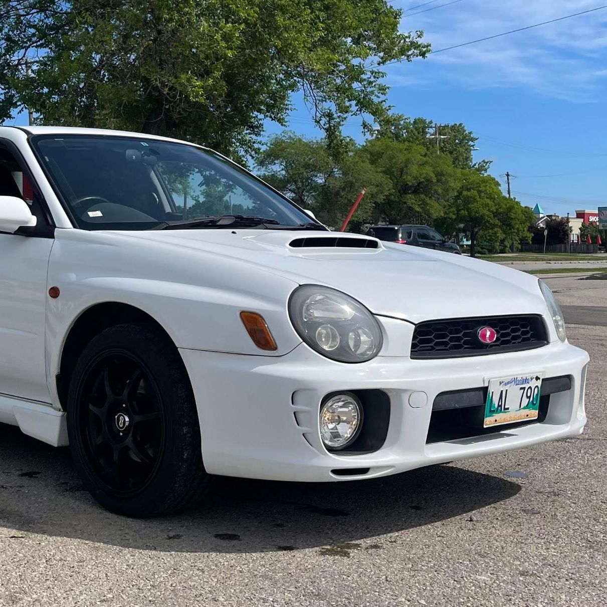 Profile of Mark Dyck