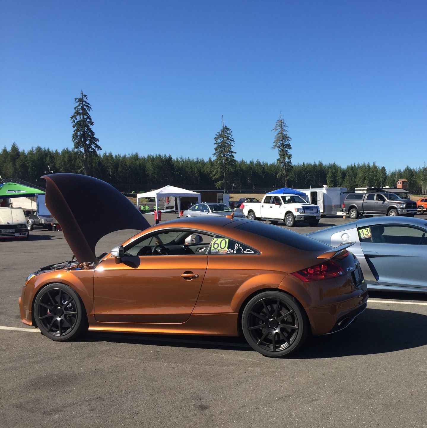 Profile of Andy Thomas