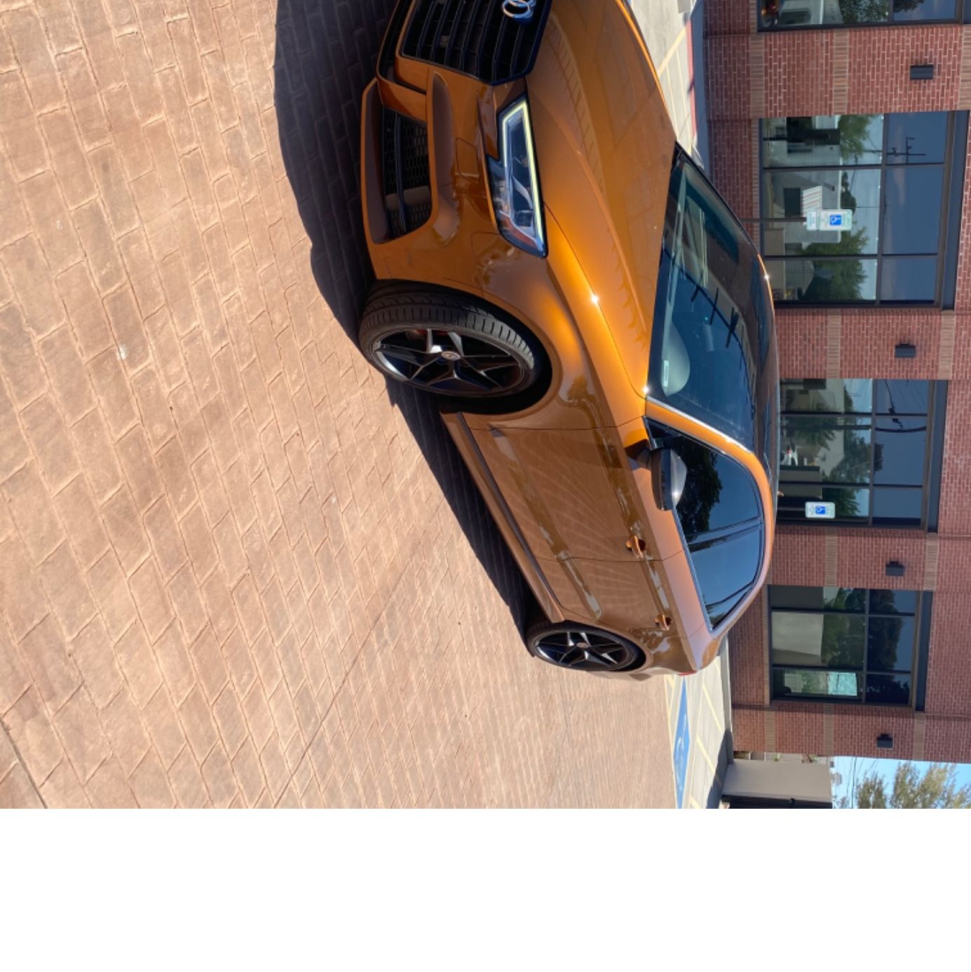 Profile of Nick Wales