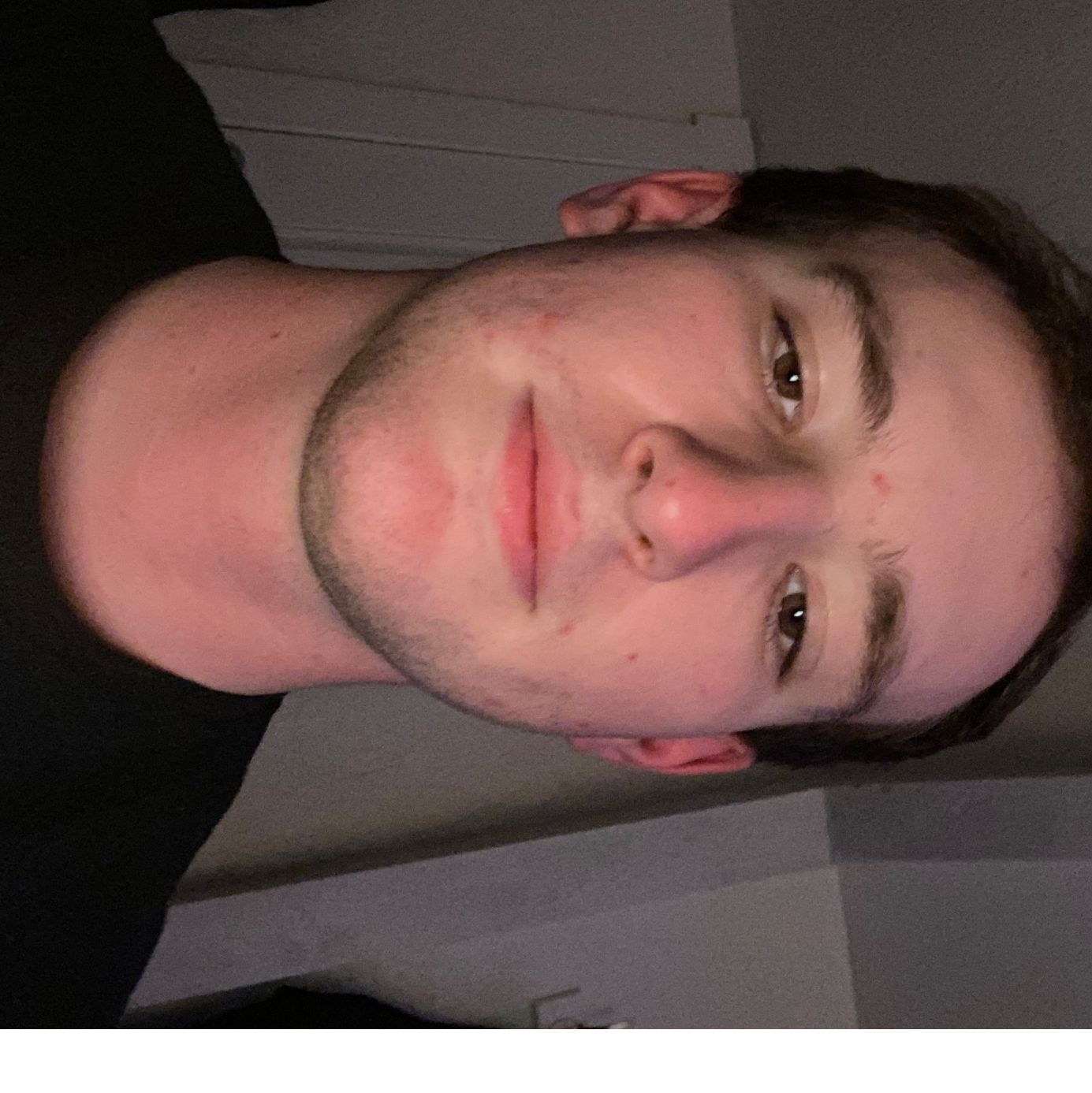 Profile of Anthony Lofrisco III