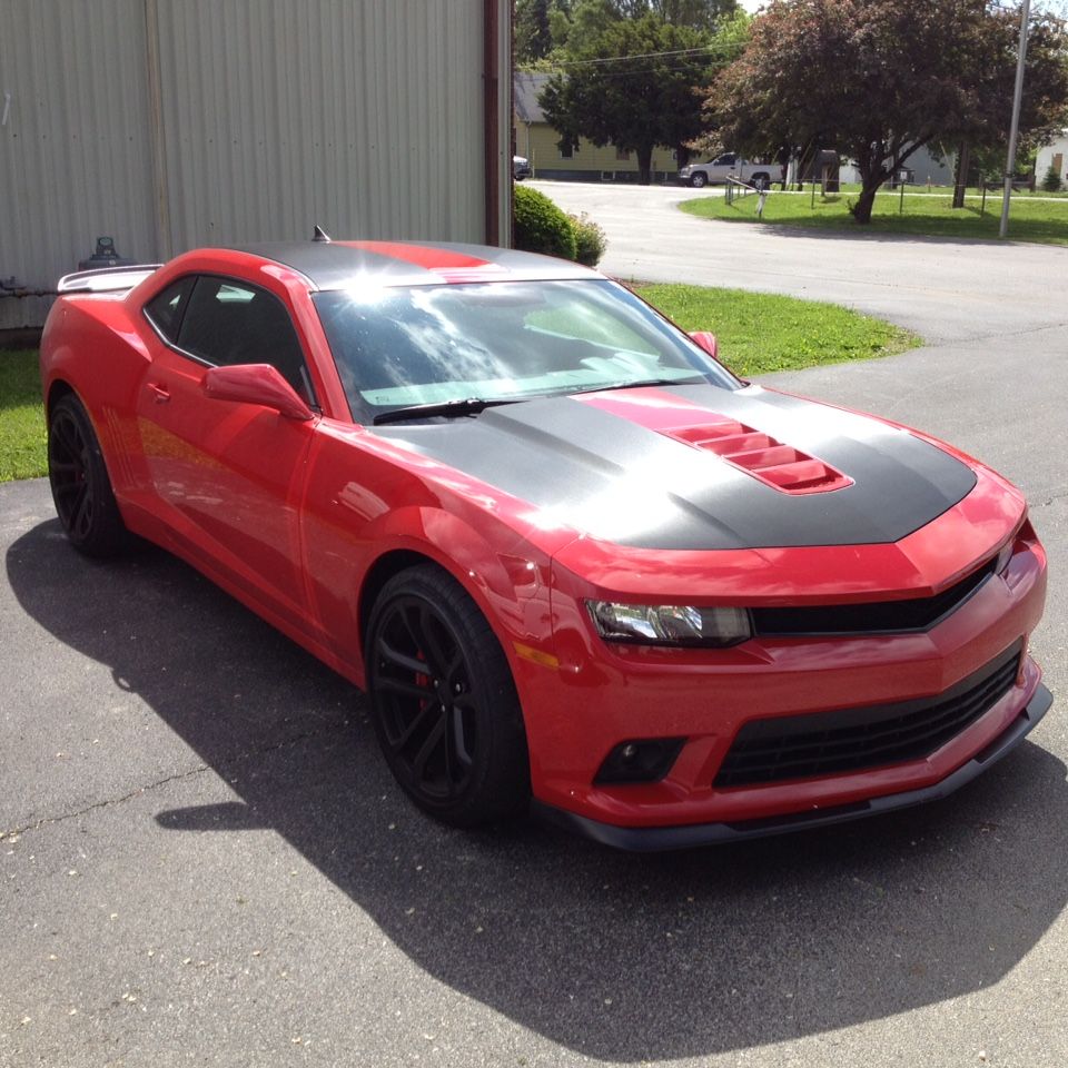 Profile of Christopher Crowley