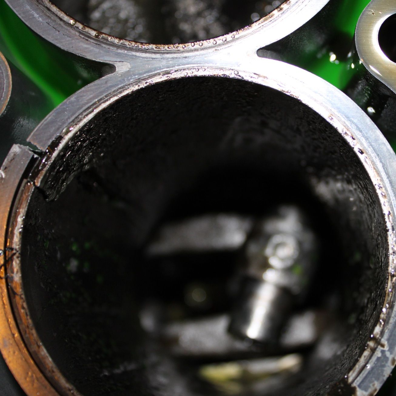 Profile of Andrew Avery