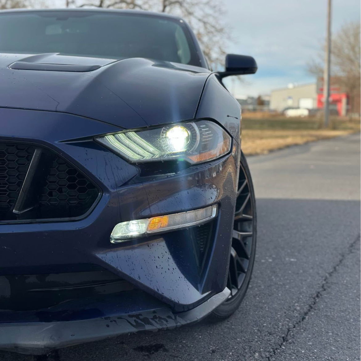 Profile of Jared Madden