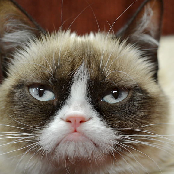 Profile of Alex Narconis