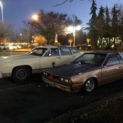 Profile of Adam Gallahan