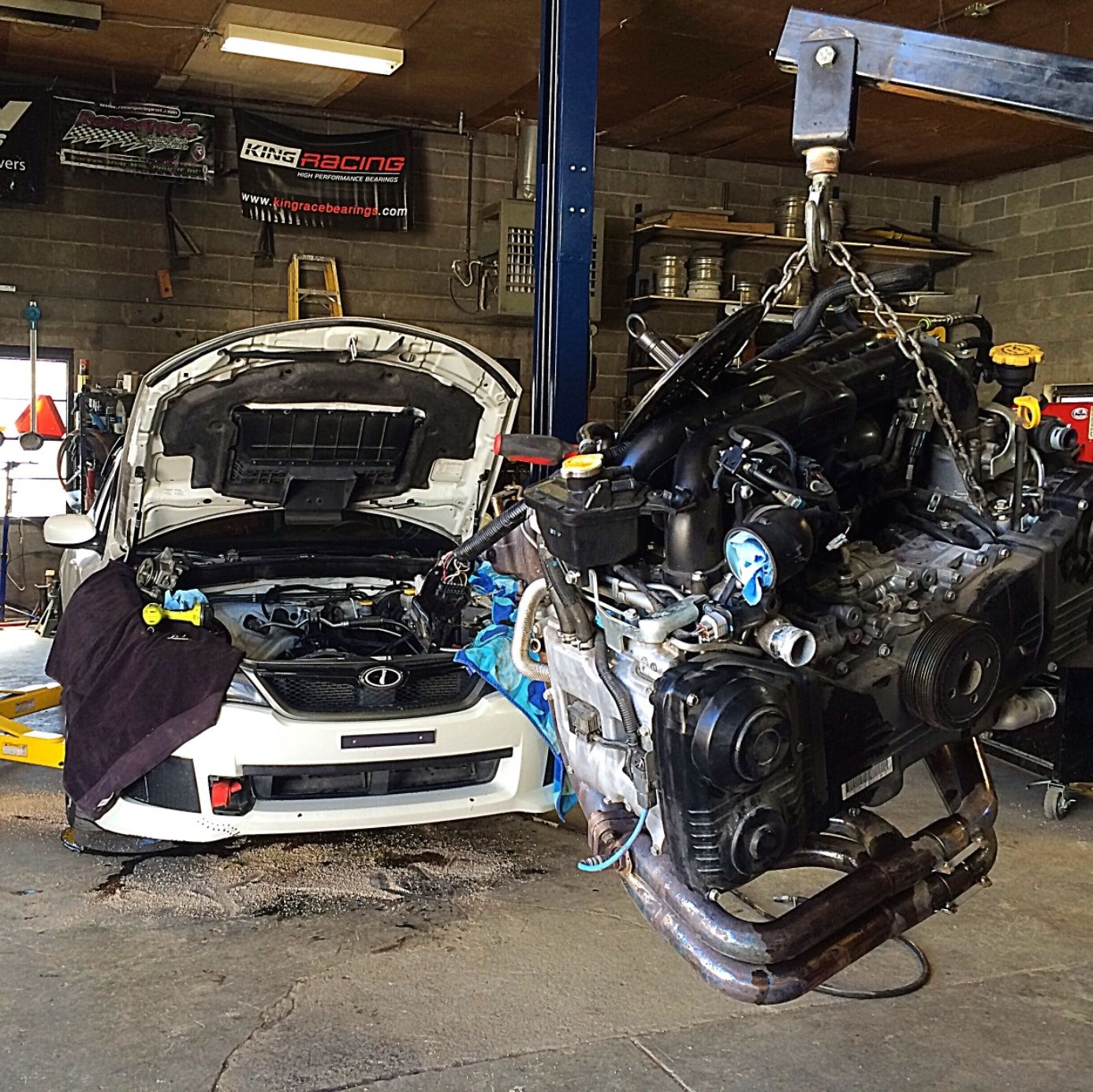 Profile of Amanda Reynolds