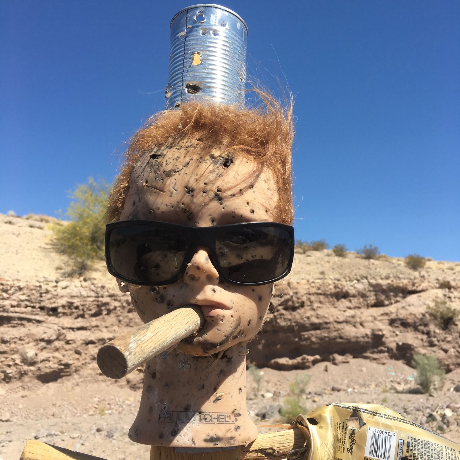 Profile of Sean Bond