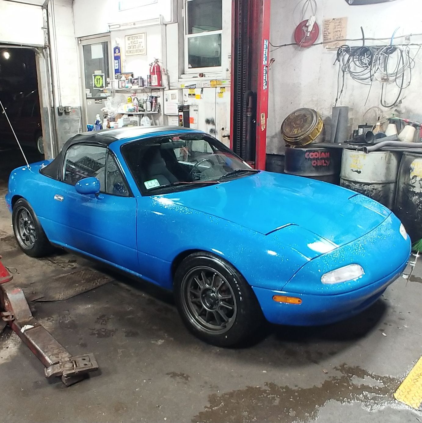 Profile of Daniel McCarthy