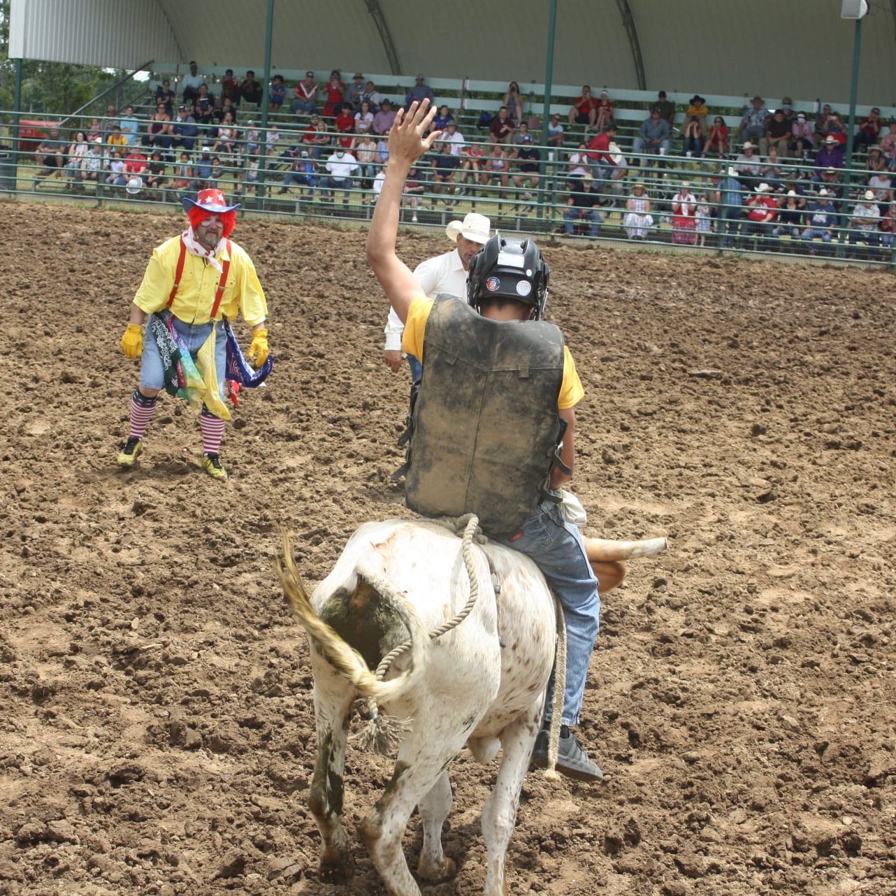 Profile of Nico Montileone