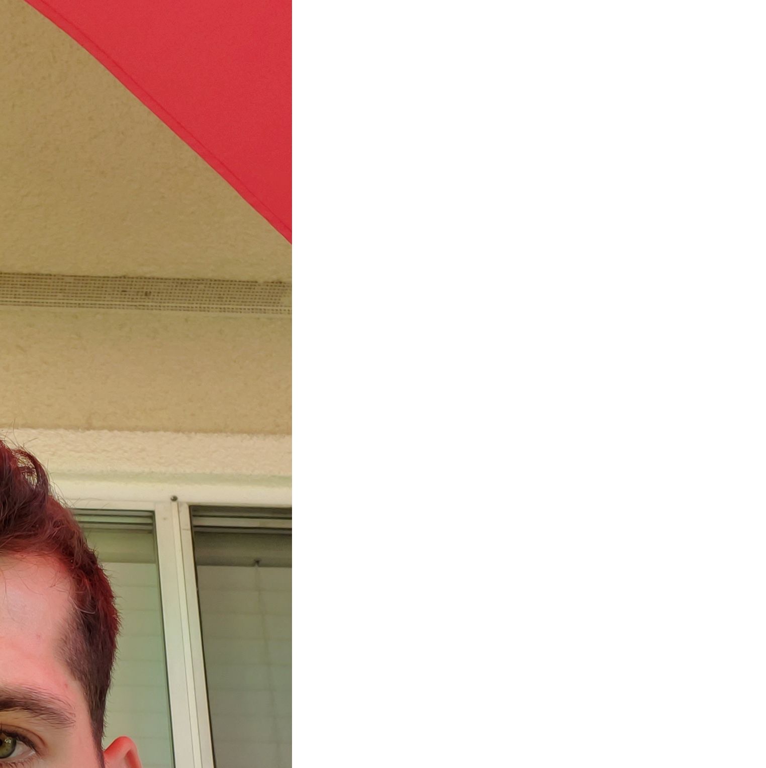 Profile of Guram Mandzulashvili