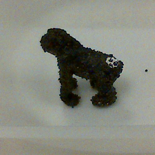 Profile of Elaine Secord