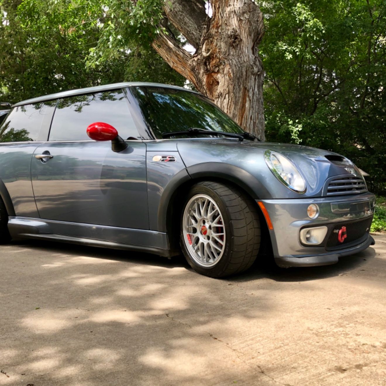 Profile of Alida Near