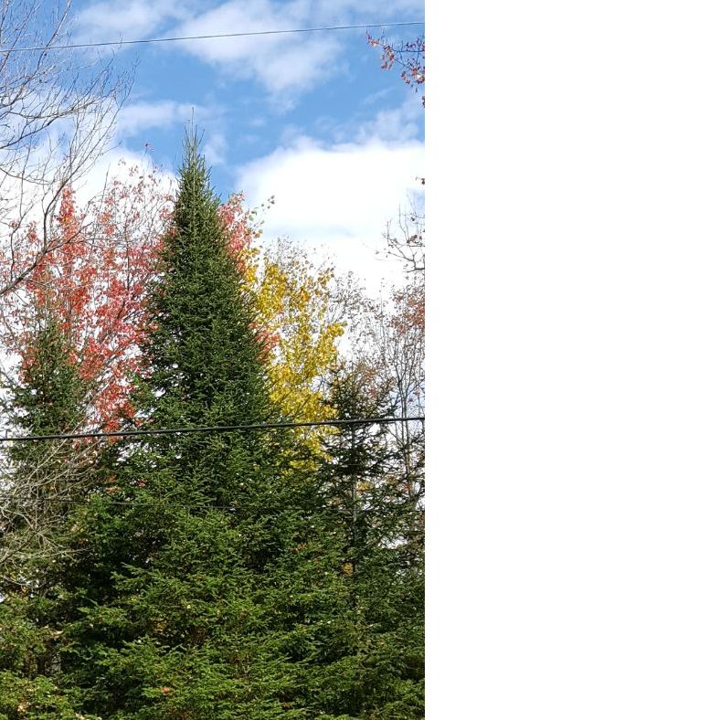 Profile of Darren Smith