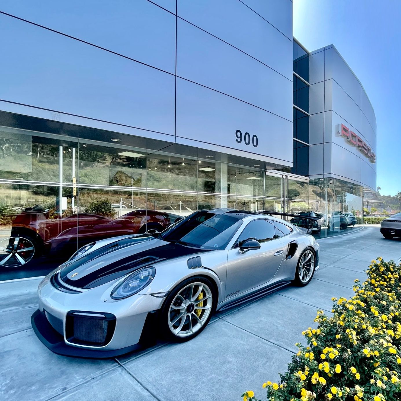 Profile of Nelson Luksich