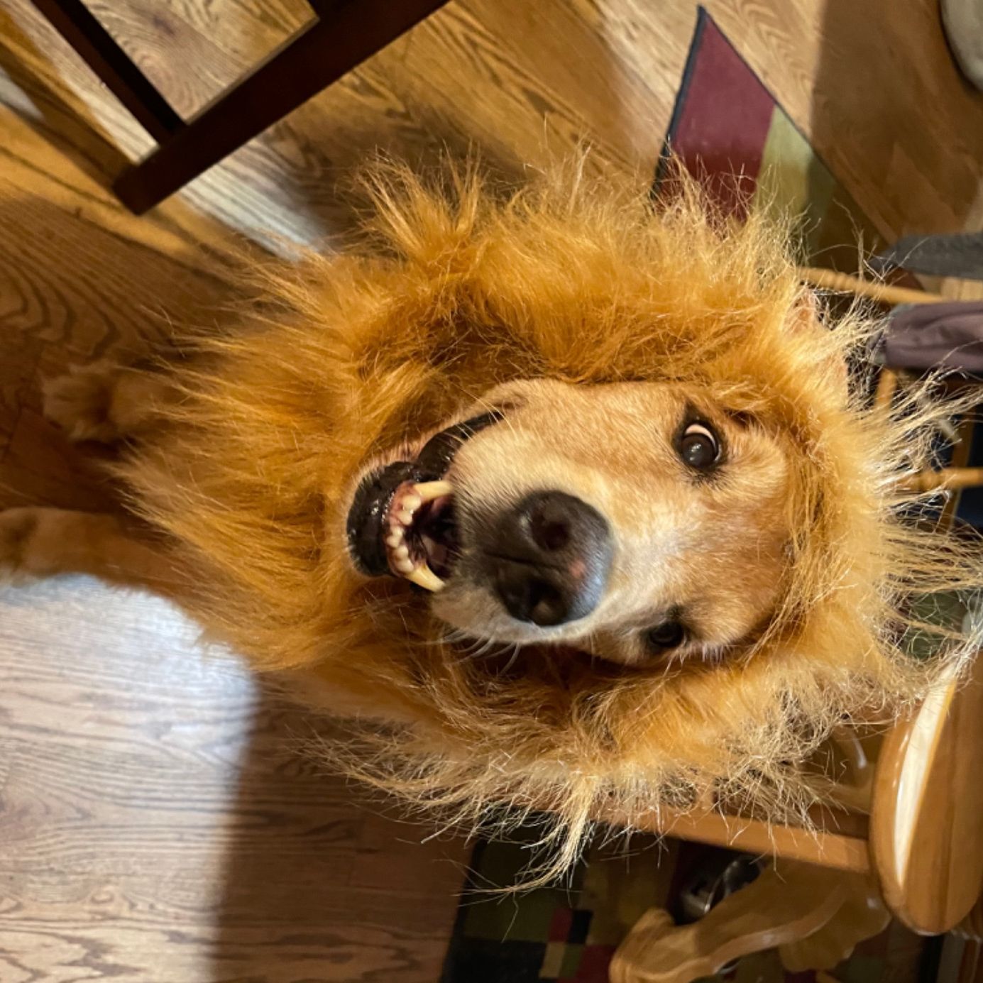 Profile of Tim Hannen