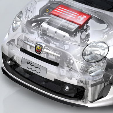 Profile of Todd Goldman