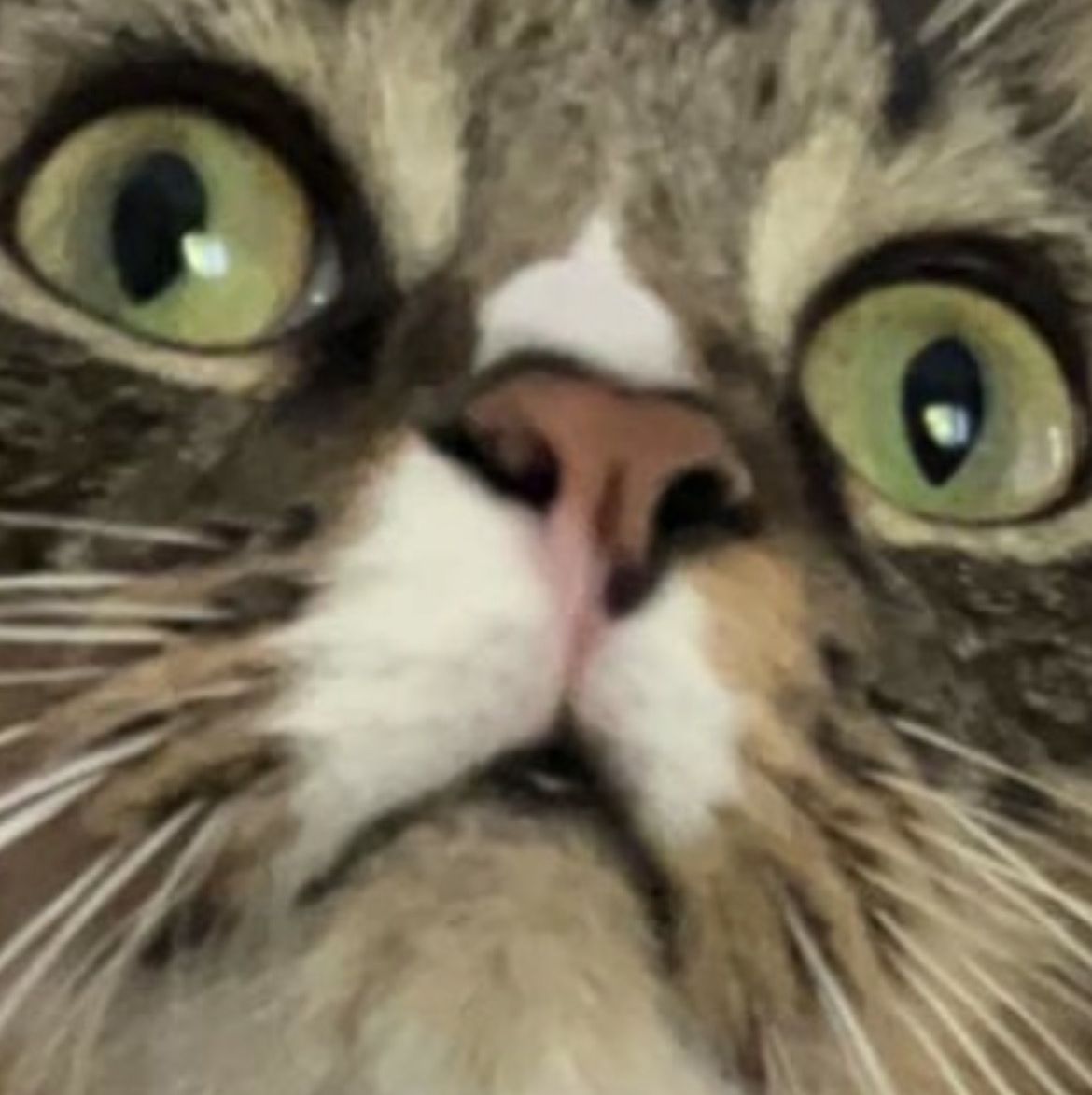 Profile of Tyler Vogt