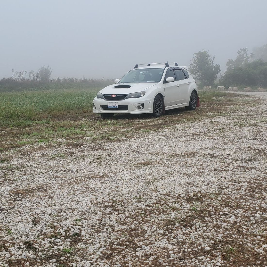 Profile of Alex Feltz