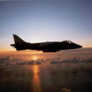 Profile of Tony DeVita