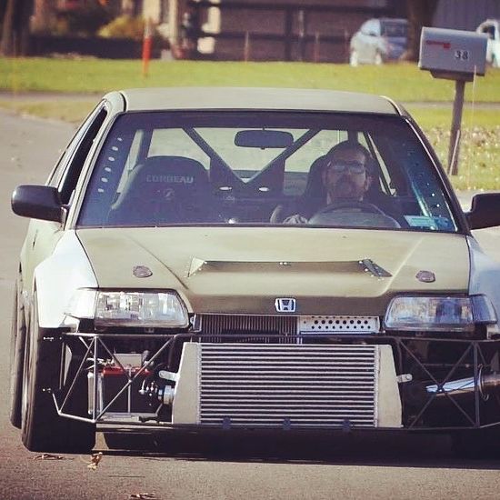 Profile of Tim Adams