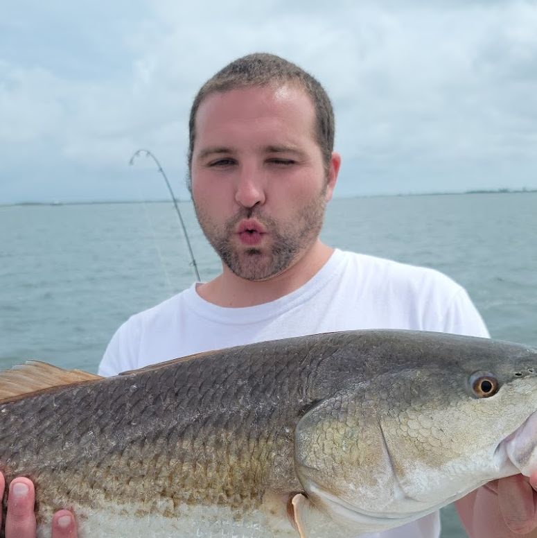 Profile of Cody Allen