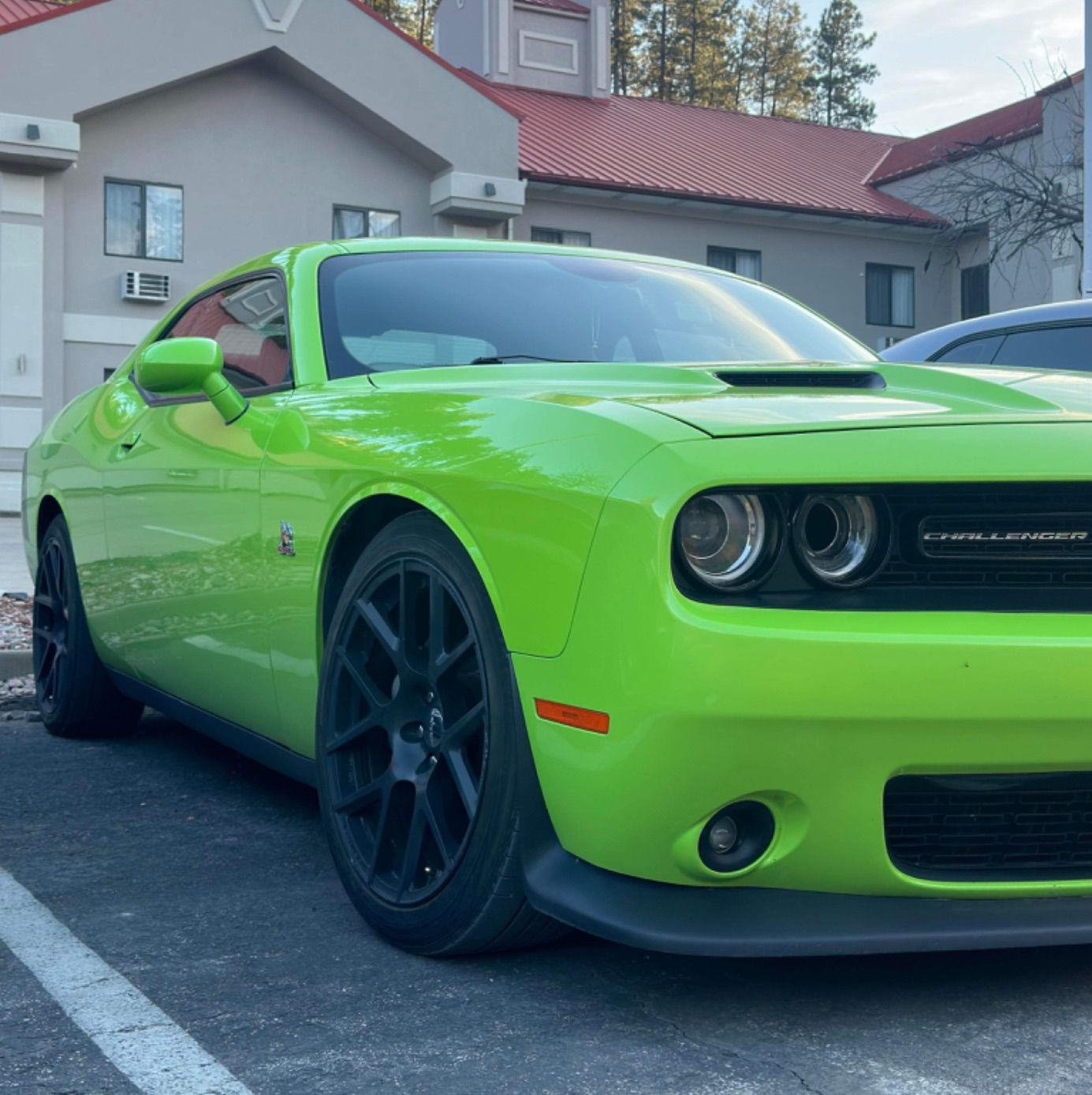 Profile of Terri Noel