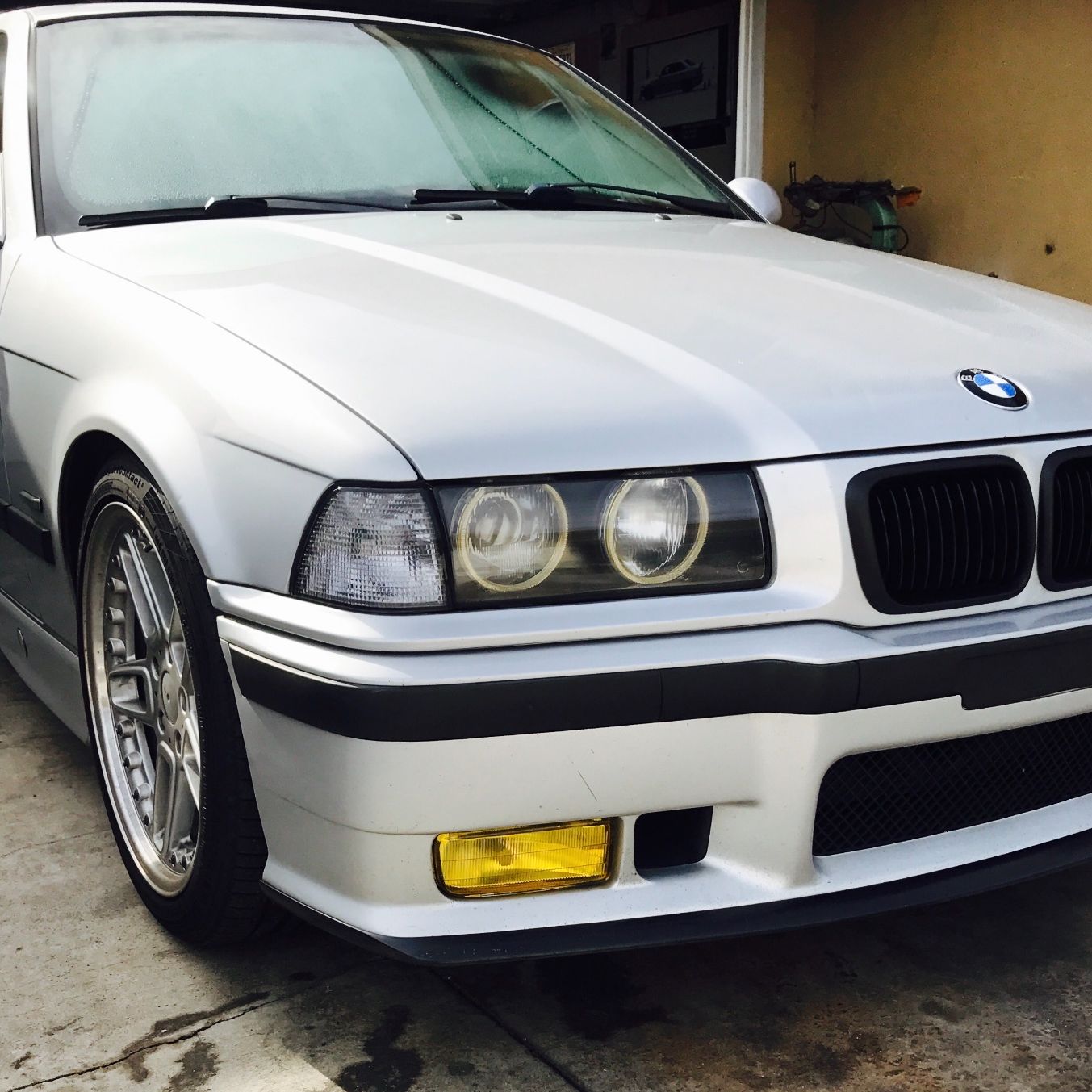 Profile of Martell Gonzalez