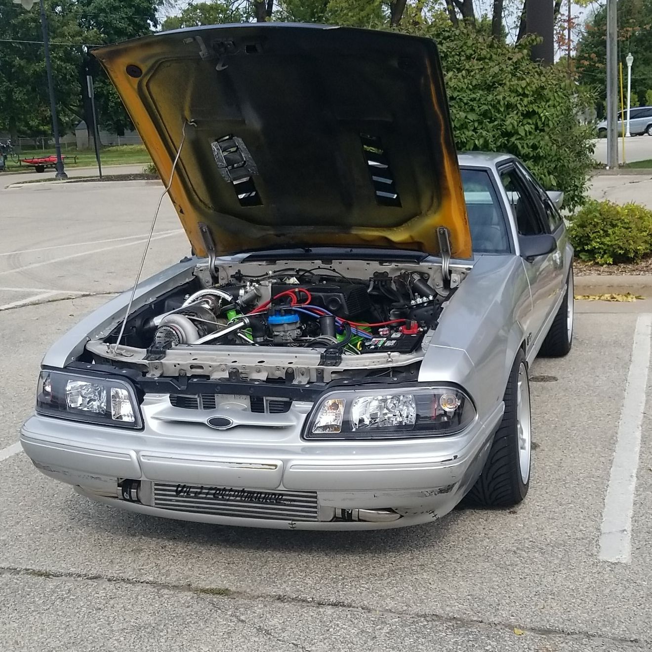 Profile of Michael Nielsen