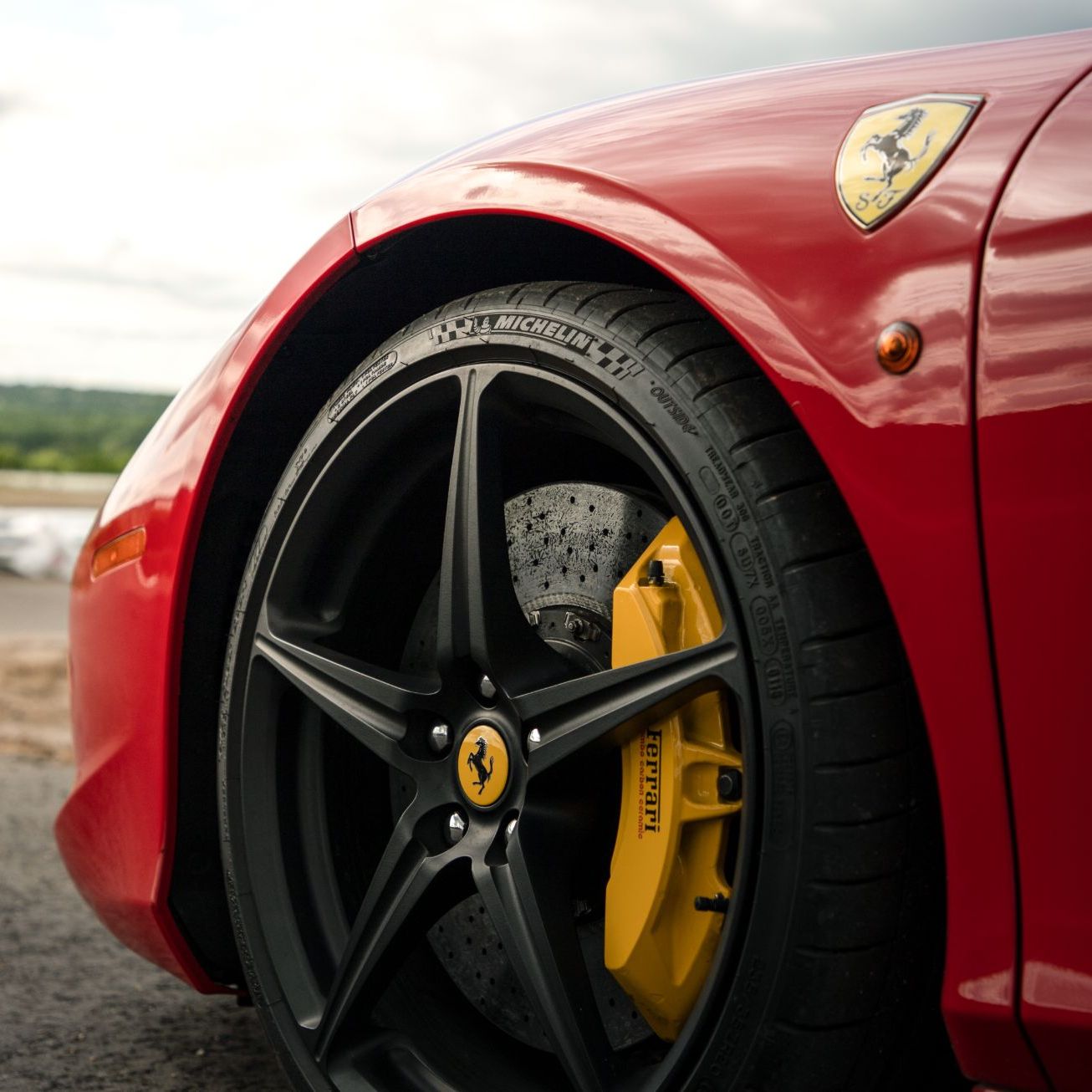 Profile of Terry Low