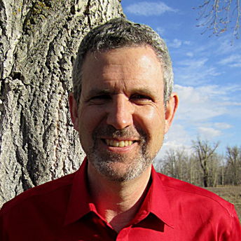 Profile of David Gray