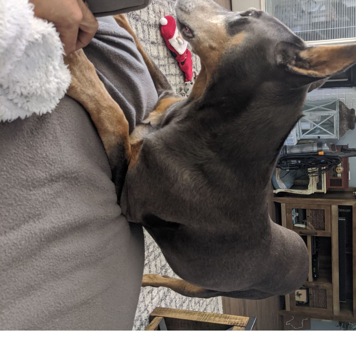 Profile of Matthew Hill