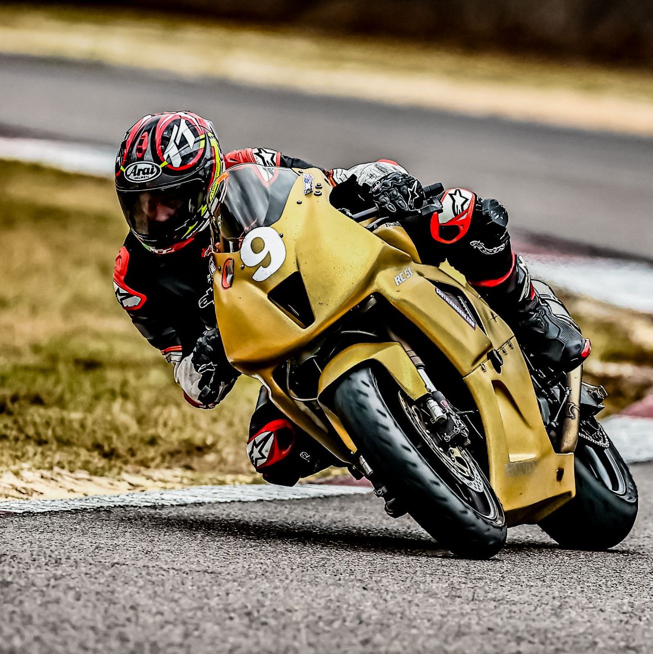 Profile of Shane Adams