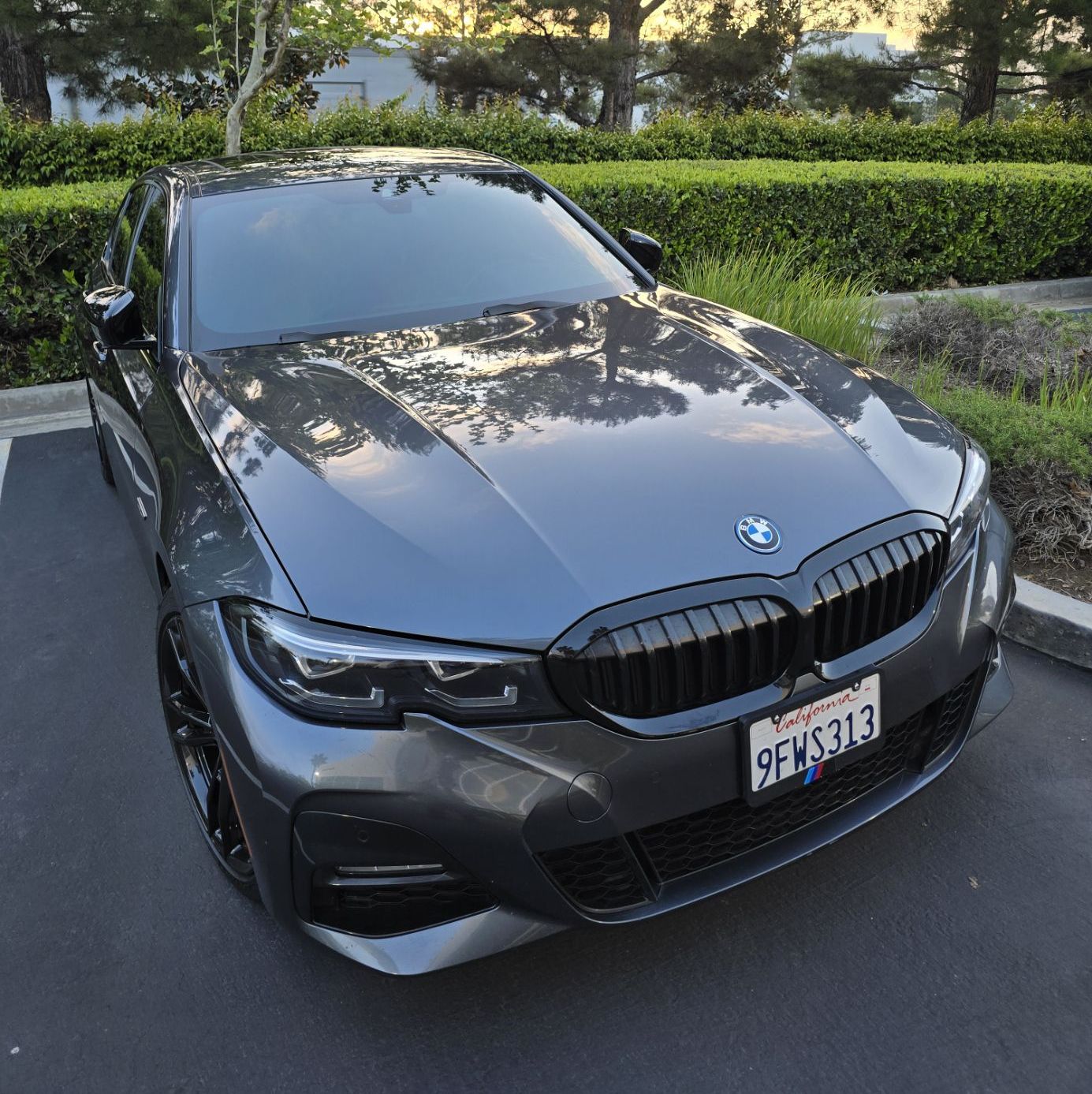 Profile of Philip Turner