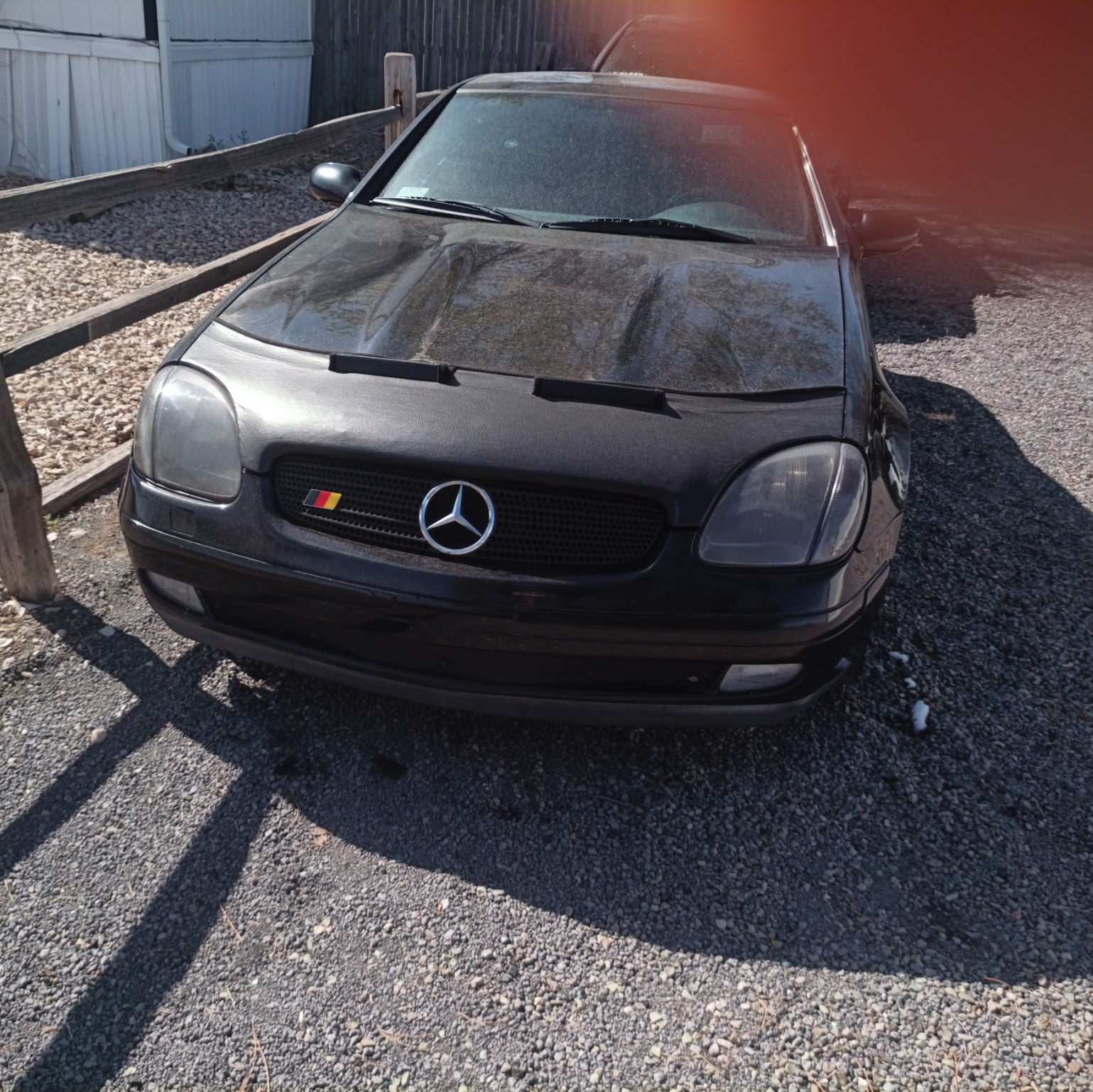 Profile of Travis Westerberg