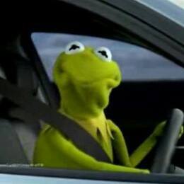 Profile of Shaun Dees