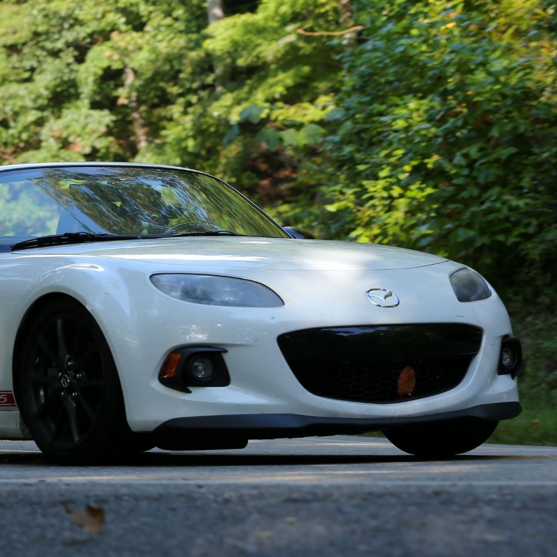 Profile of Blake Wallace