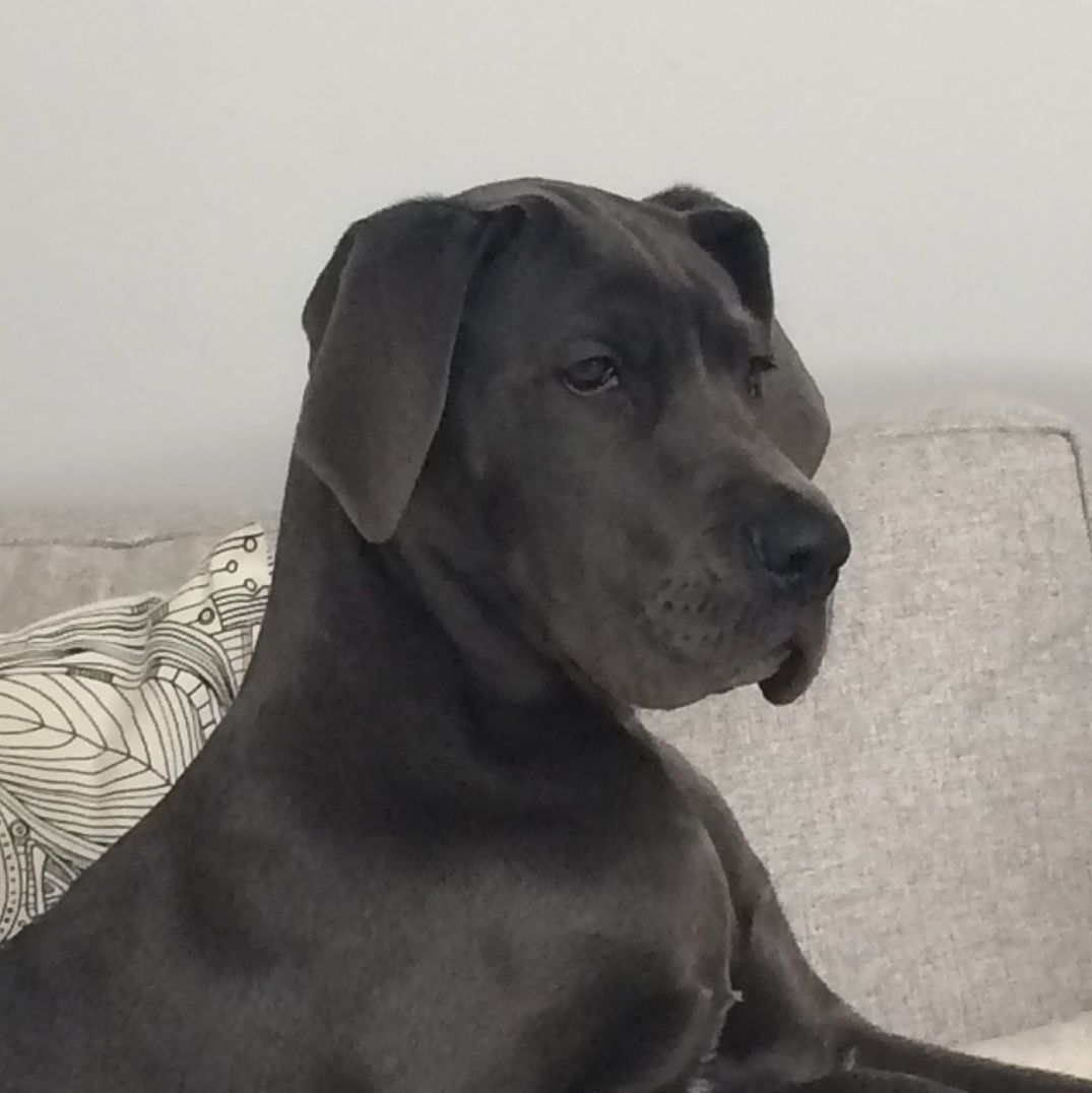 Profile of Alex Catchpaugh