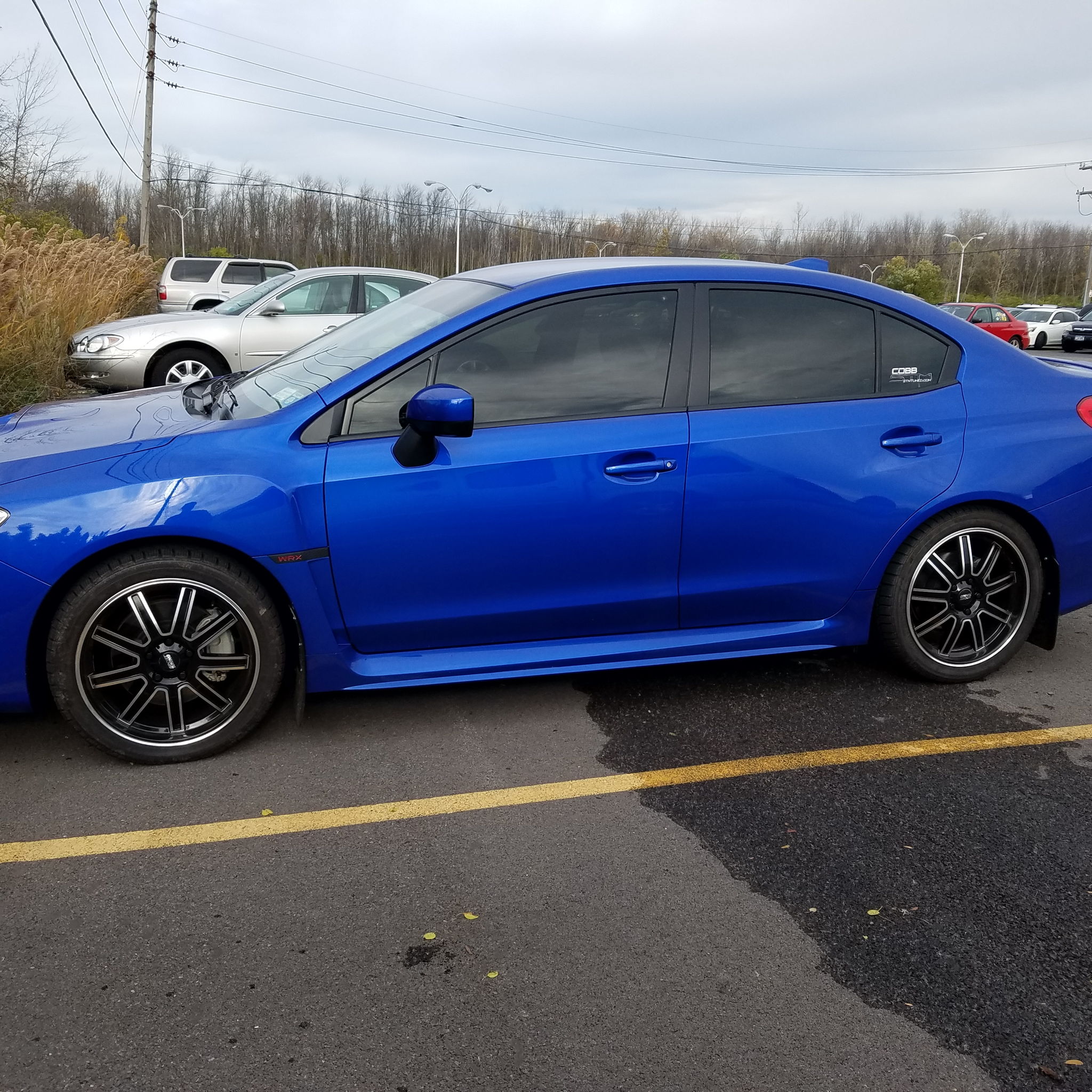 Profile of Adam Harding