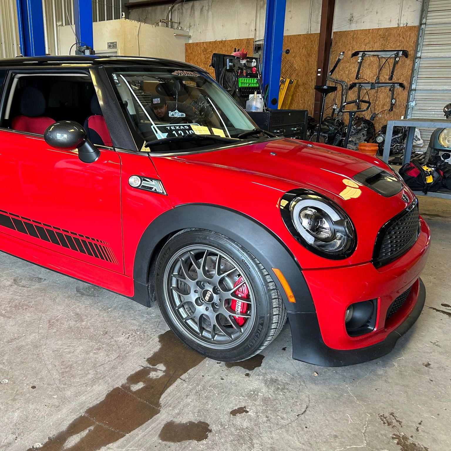 Profile of Nicholas Scalisi